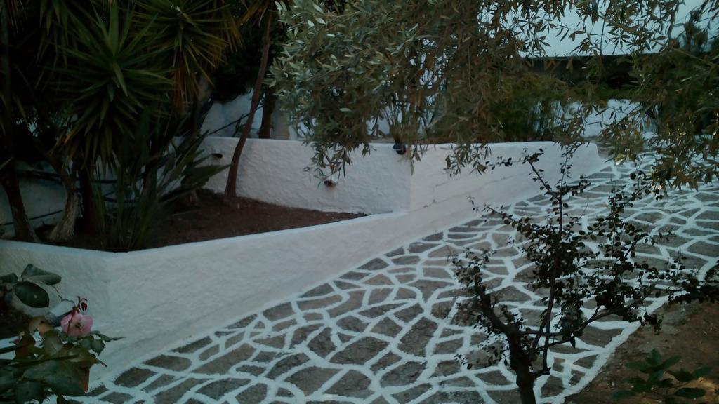 Amaranthos Skiathos View Megali Ammos  Rom bilde